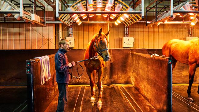 Inside the stable of the luxurious Macedon facilities.