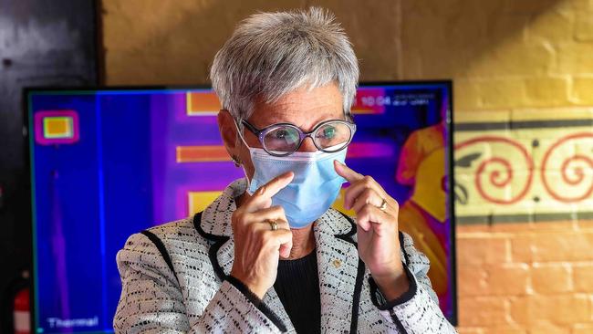 Linda Dessau was asked to intervene on public health measures. Picture: Ian Currie