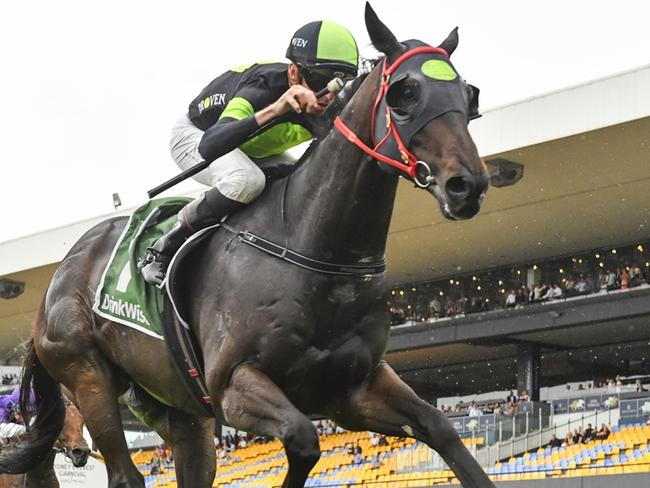 Private Eye wins the Festival Stakes at Rosehill Gardens on November 30, 2024. Picture: Bradley Photos