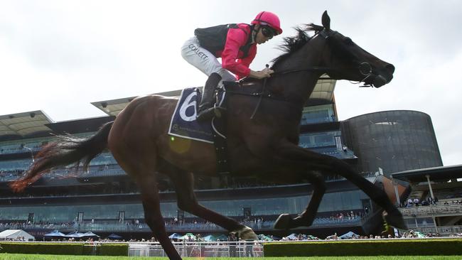 Jason Collett rides Gallant Star to victory in The Barn Dance Picture: Jason McCawley/Getty Images