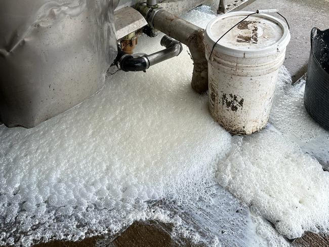 Thousands of litres of milk are dumped at Julie Moore's Dorrigo property in the aftermath of Ex- Tropical Cyclone Alfred. Picture: Supplied