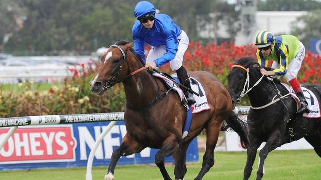 Photographer: Simon Bullard. Race 4 RANVET STAKES (3YO&UP) - 2000m. Winner 'Contributer' ridden by James McDonald.