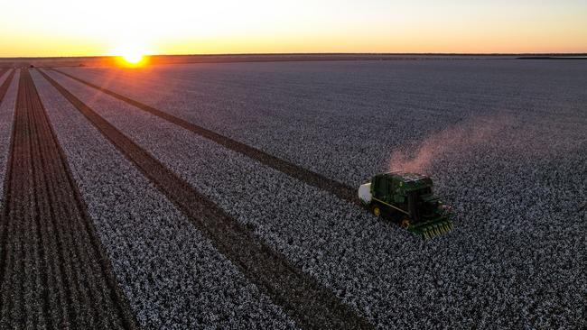 Sundown Pastoral Co's Keytah cotton farm. Photo: supplied