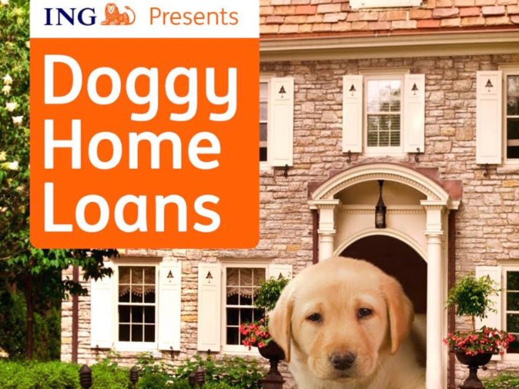 ING Australia's funny home loans for pups. Picture: Supplied