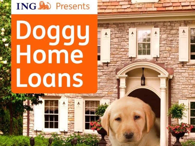 ING Australia's funny home loans for pups. Picture: Supplied