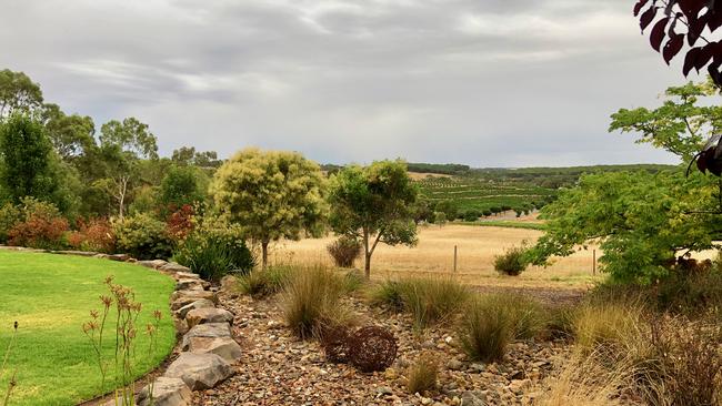 Textural grasses are mainly indigenous to the region. Picture: Beryl Hunter