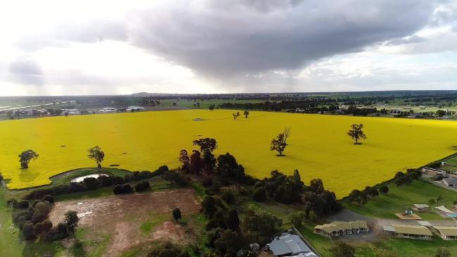 NSW Premier announces rural 20 year vision