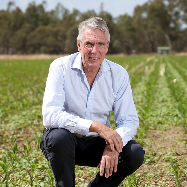 Nationals leader Peter Walsh.