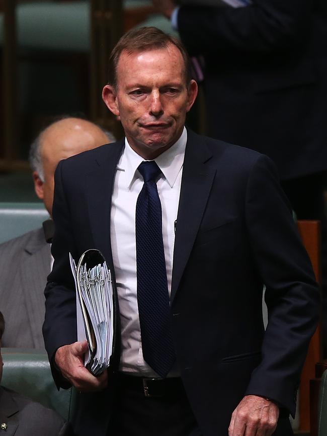 Tony Abbott in Question Time today. Picture Kym Smith