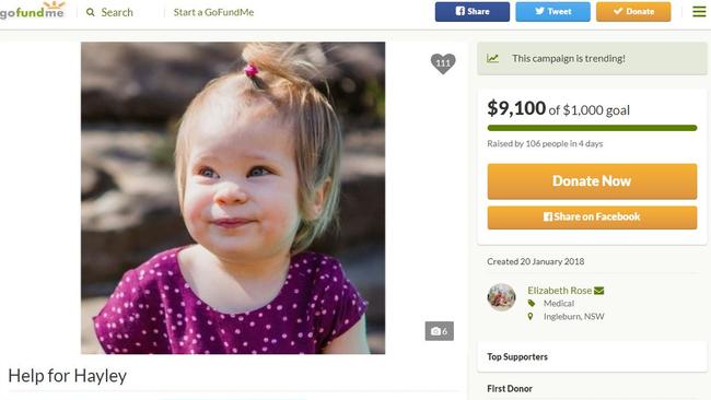 The GoFundMe page, Help for Hayley.