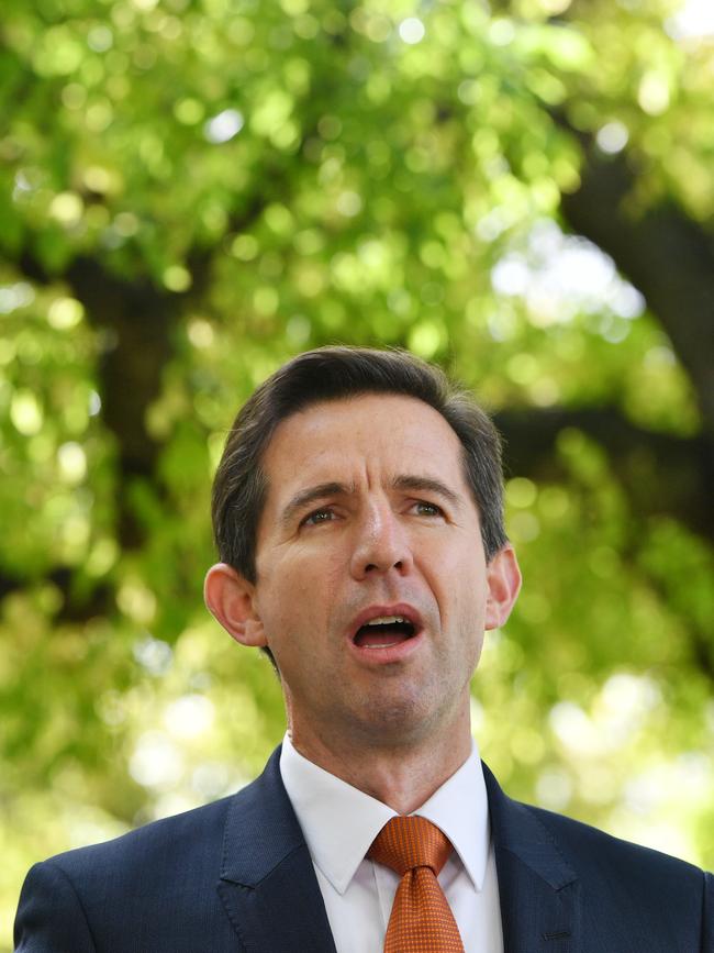 Australian Minister for Education and Training Senator Simon Birmingham Picture: AAP