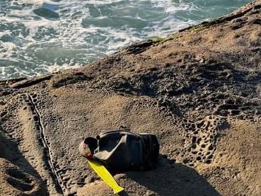 A sea search has been launched after fishing gear was found on rocks adjacent to Dudley Beach on July 11, 2024. Picture: NSW Police.