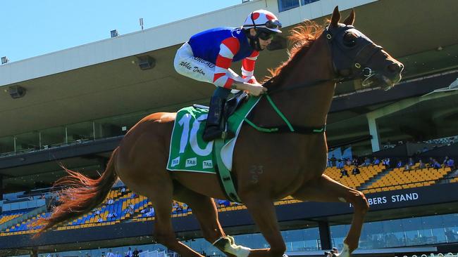 Robbie Dolan on Above And Beyond wins the TAB Handicap at Rosehill Gardens.