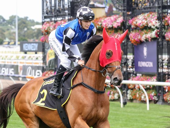 Consistent stayer Herman Hesse (GB) has a super chance to earn a deserved win at Caulfield on Saturday. Picture:  Racing Photos via Getty Images.