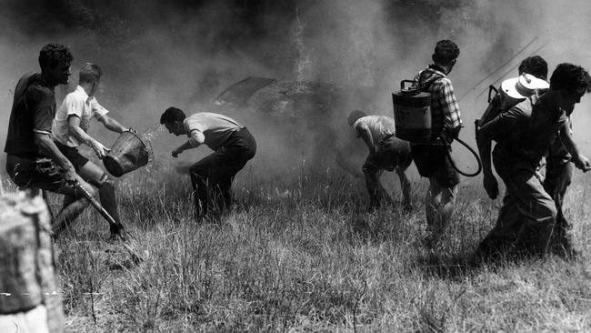 A group of men armed with buckets and knapsack pumps try to save Hillside Farm at The Basin.