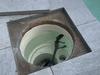 ‘Thought it was a lizard’: Two crocs venture into backyard pools