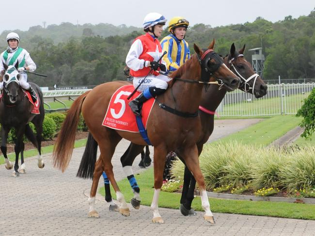 Sarah Eilbeck and Stonecast (No. 5) with Taylor Williams aboard Rosella return to scale. Picture: Trackside Photography