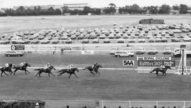 Government House (no. 6) runs third in Race 4 at Cheltenham Racecourse, November 19, 1988.