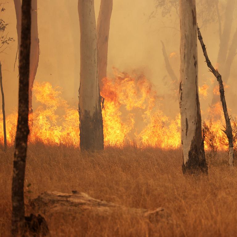 Photos of Qld 2023 bushfire devastation: Tara, Western downs ...