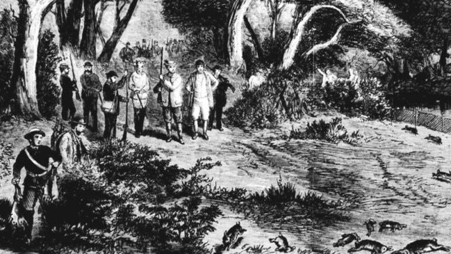 An impression of the Duke of Edinburgh’s hunting outing at Thomas Austin’s property.