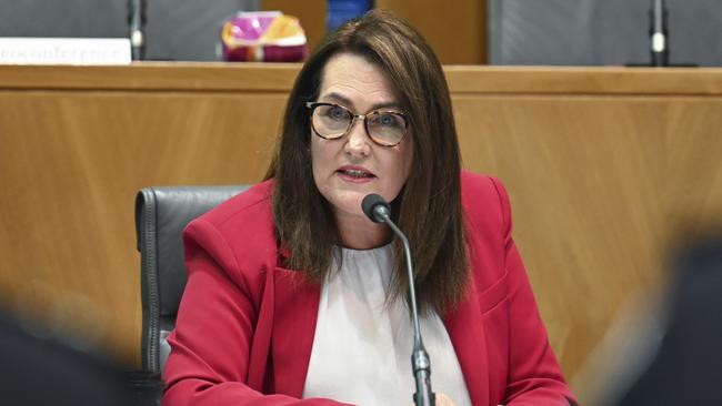 Senator Deborah O’Neill: There are ‘many questions which PwC and (Luke) Sayers are yet to answer’. Picture: NCA NewsWire / Martin Ollman