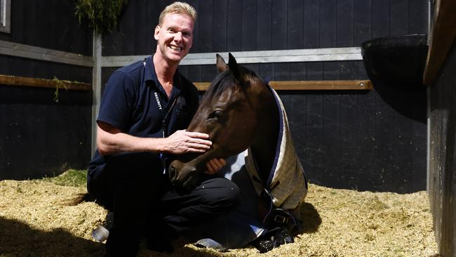 Security guard Oldrich Jiricka is in charge of looking after Winx’s filly overnight at the William Inglis &amp; Son Riverside Stables in Warwick Farm before she is sold at the Easter Yearling Sale on Monday. Picture: Jonathan Ng