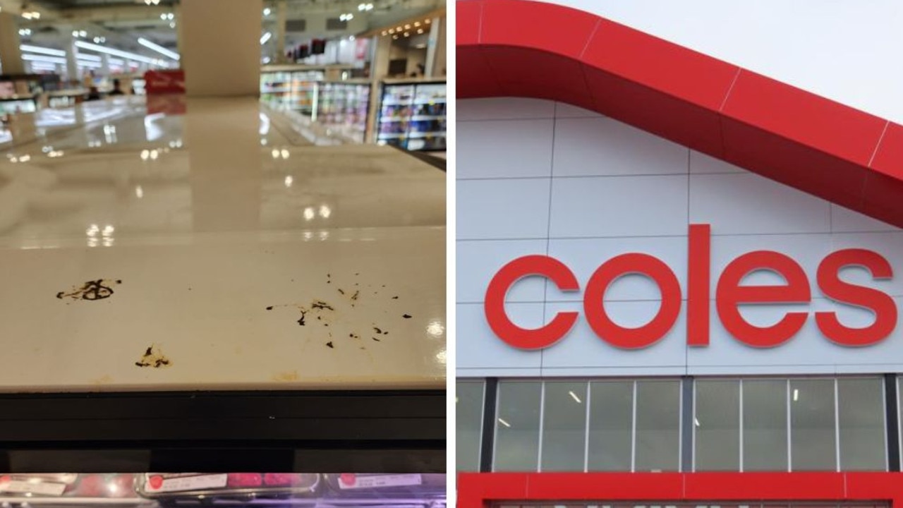 Sydney man snaps pics of pigeons and droppings in Top Ryde Coles store ...