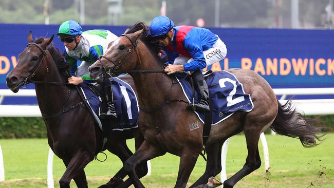 Getafix (right) resumes as a gelding at Rosehill on Saturday. Picture: Jeremy Ng/Getty Images