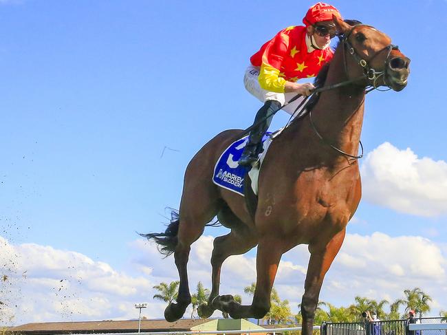 Brad Davidson’s tips: King to rule in Heritage