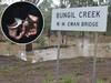 Man charged for hospital antics after found in Bungil creek