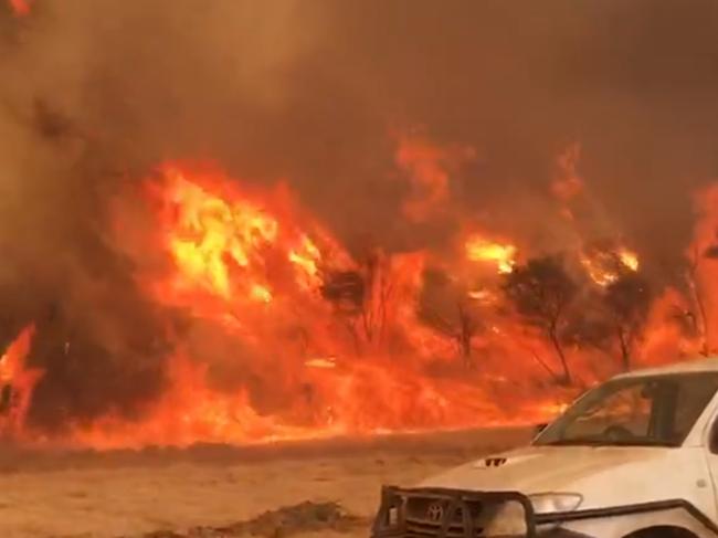 2/1/20 - Kangaroo Island Bushfire. Picture Brenton Davis