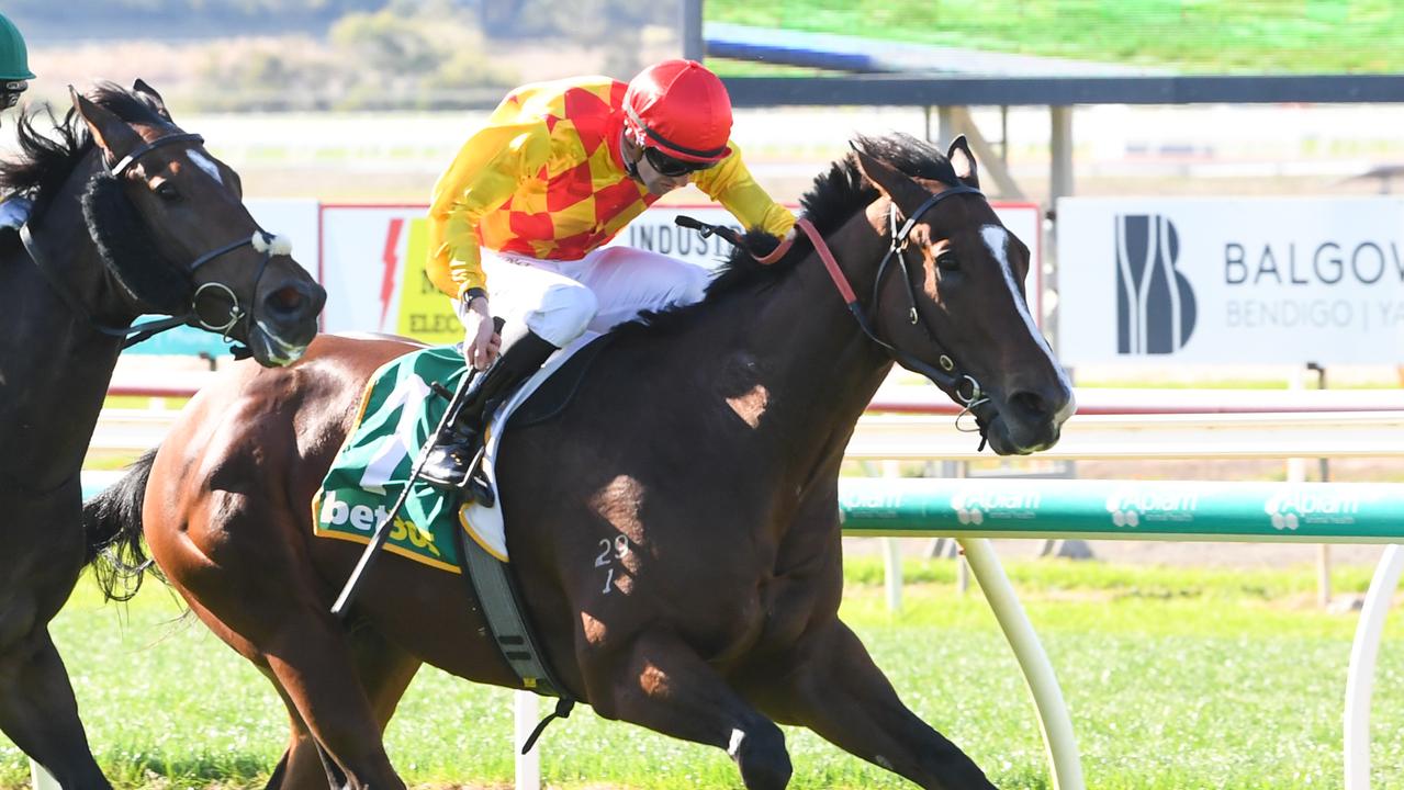 The second edition of the Cliff Brown-trained Forest Jim will be out to complete two wins in a row when he heads to Flemington on Saturday. Picture: Racing Photos via Getty Images