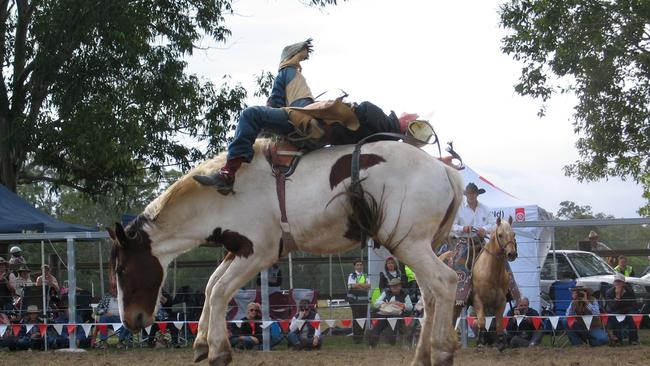 RIDING HIGH: There was plenty of action at the Teebar Show, Campdraft and Rodeo on Saturday. Photo Erica Murree / Central & North Burnett Times