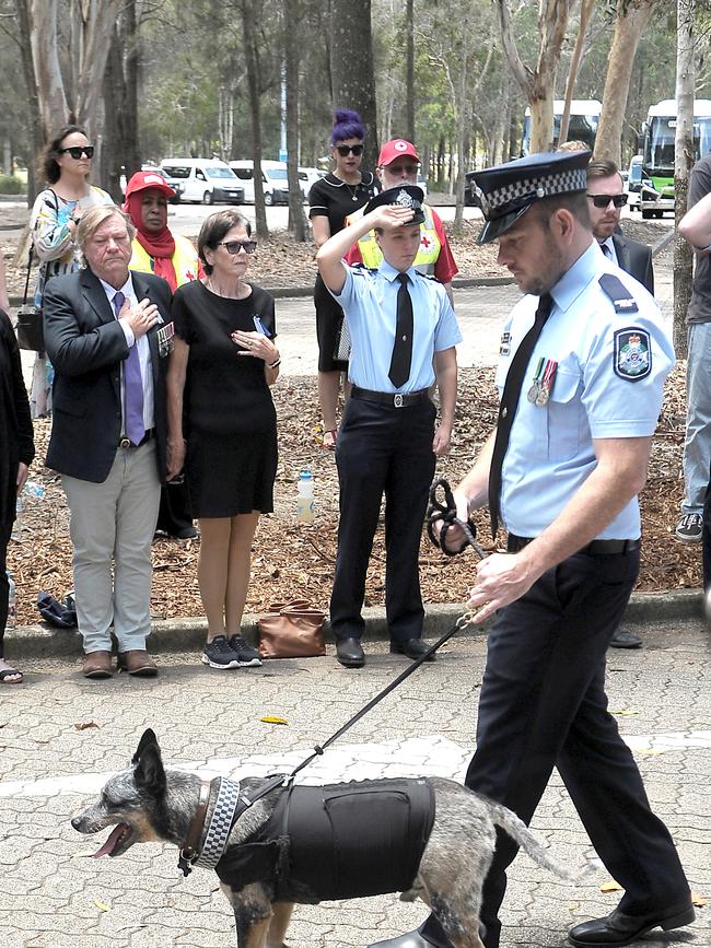 Constable Rachel McCrow’s dog at the memorial service for constables Rachel McCrow and Matthew Arnold at the Brisbane Entertainment Centre. Picture: John Gass/NCA NewsWire
