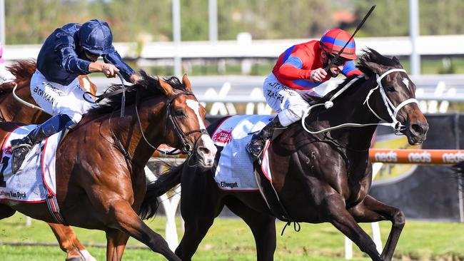 Verry Elleegant holds off Anthony Van Dyck in the Caulfield Cup. Picture: Racing Photos via Getty Images