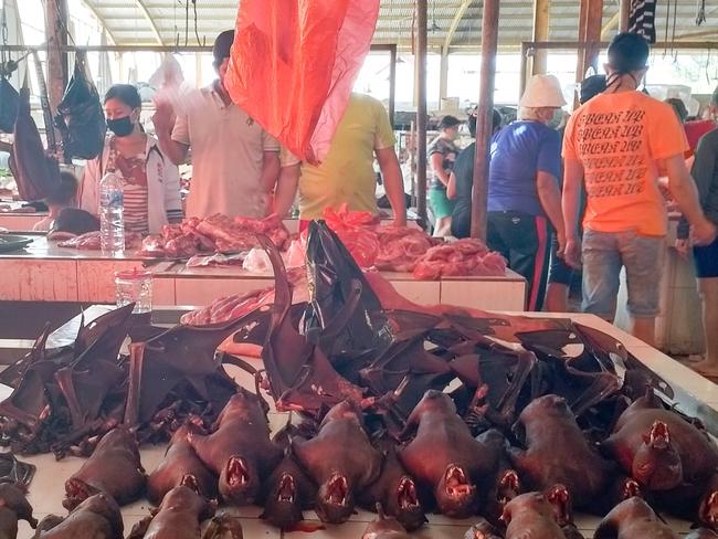 25-04-20 - Tomohon exotic wildlife market still operating in sulawesi, Indonesia. Supplied  PIC: Agung Maupa