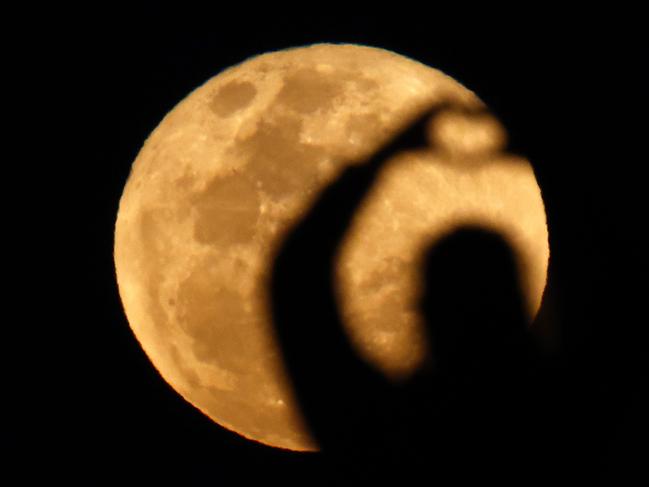 DAILY TELEGRAPH SEPTEMBER 18, 2024. Onlookers  pose for photos with the rising Harvest supermoon as seen from Flagstaff Hill in Wollongong. Picture: Jonathan Ng