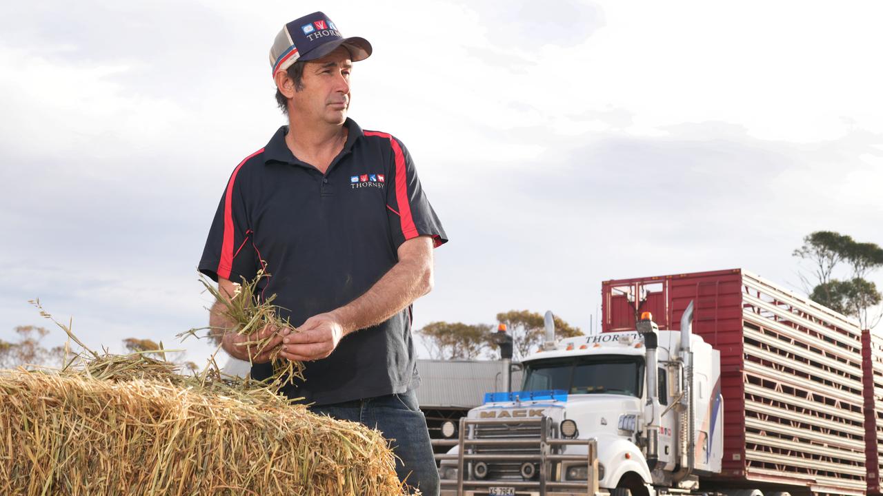 Mid Murray farmer Alex McGorman said he was shocked when told last week he would have to pay for PIRSA staff to inspect a load of hay he purchased from Queensland. Picture: Dean Martin