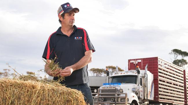 Mid Murray farmer Alex McGorman said he was shocked when told last week he would have to pay for PIRSA staff to inspect a load of hay he purchased from Queensland. Picture: Dean Martin