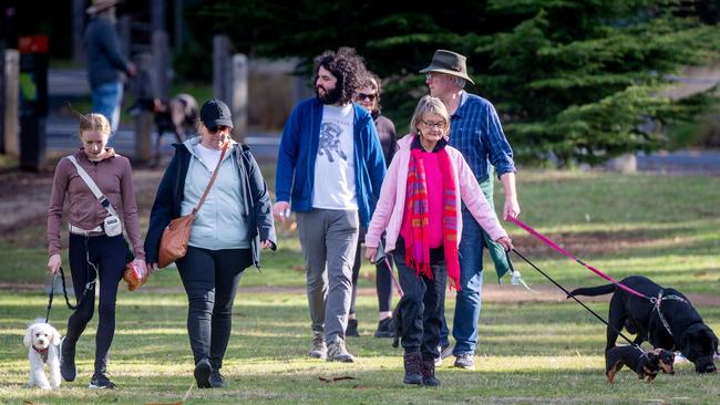 Dog walkers and their dogs at the million paws walk at Queens Domain in Hobart in Sunday 25th May 2025. Picture: Linda Higginson