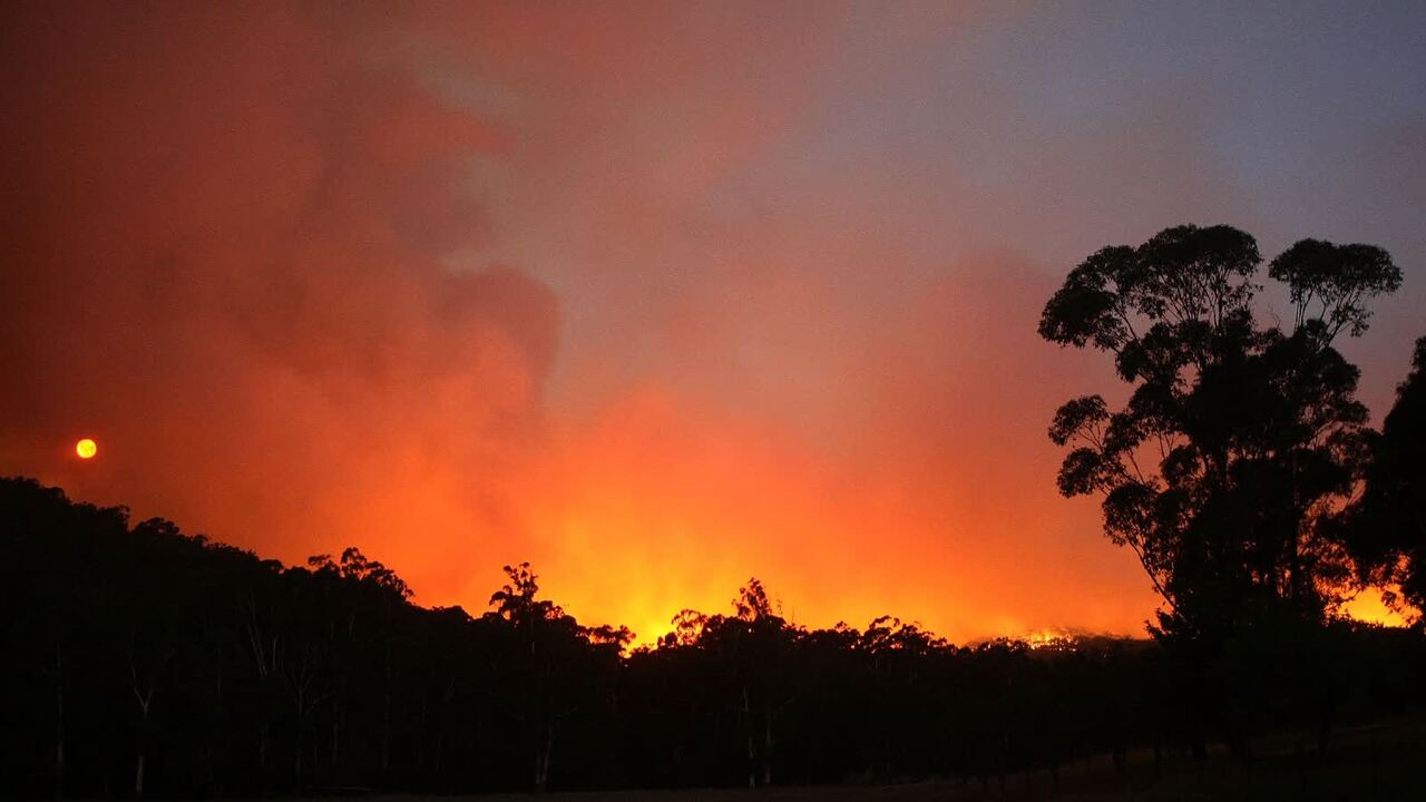 Paul Murray sends ‘strength and love’ to Australians experiencing bushfires