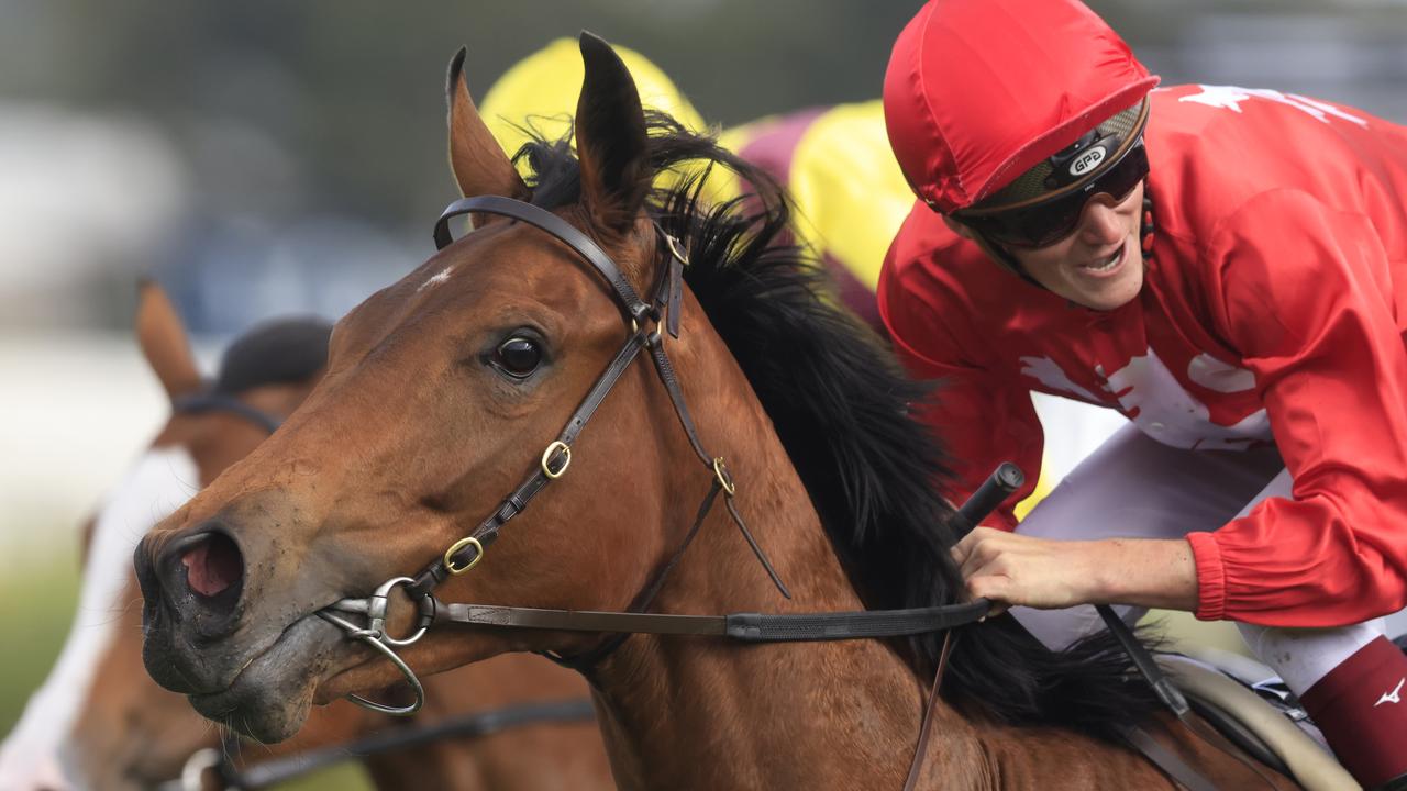 Sydney Racing - Golden Gift Ladies Day