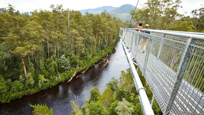 The Tahune Airwalk before the bushfires. Picture: SUPPLIED/PRINCESS CRUISES