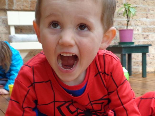 Photo showing missing child William TyrrellPhoto courtesy of NSW Police