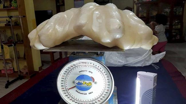 This giant pearl could be the biggest ever found in the world after being handed in by a fisherman. Picture: Snapper Media