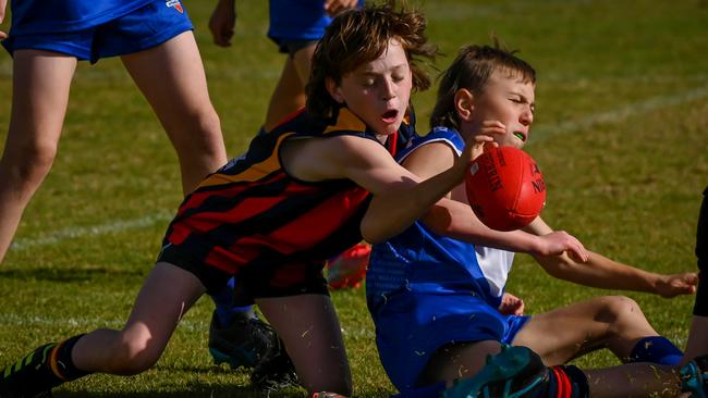 Action from the 2025 carnival will be broadcast live on KommunityTV from Monday. Picture: Naomi Jellicoe