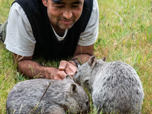 Andry Sculthorpe with Bass Strait Island Wombat joeys Louis and Grant. Image: Chris Crerar