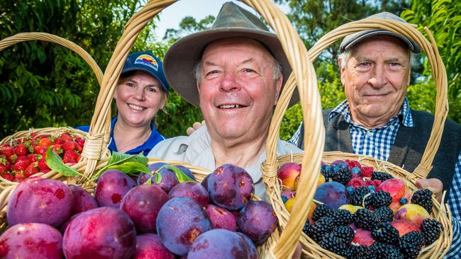 Blue Hills Berries’ Tracey Chapman, Len Rayner and Paul Casey from The Big Cherry in February. Picture: Jake Nowakowski