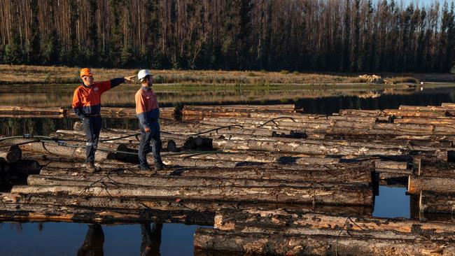 KIPT workers Brian Stewart and David Oselton at Macgill dam, Kangaroo Island, where fire-damaged logs are being stockpiled. Picture: Amy Pysden