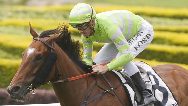 Jay Ford (pictured) rides Mediaro for trainer Matthew Smith. Picture: Getty Images